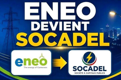 Cameroun : Le FMI met en garde contre les risques financiers de la renationalisation d’Eneo